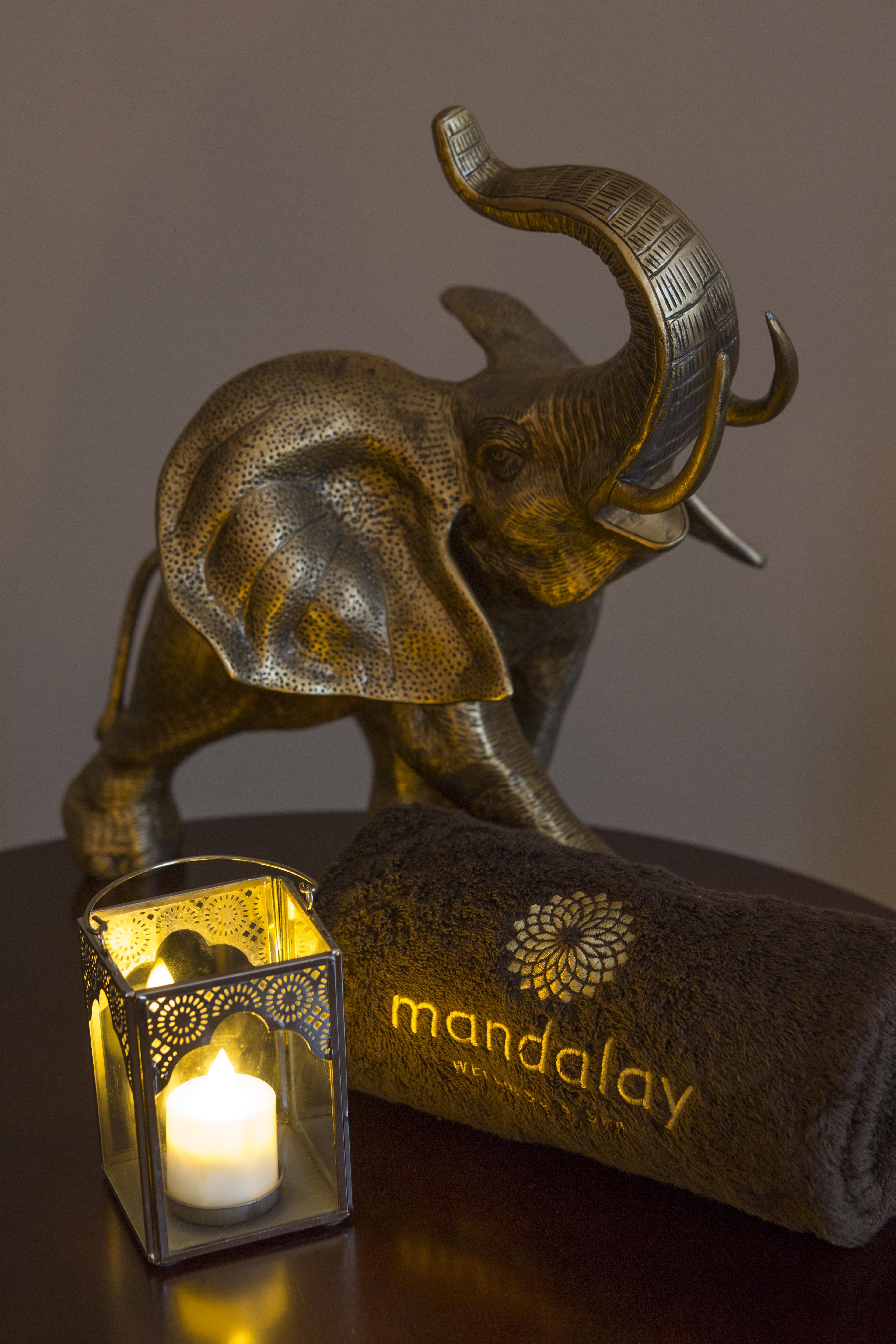 Evolutee Hotel Óbidos Kültér fotó A bronze elephant sculpture
